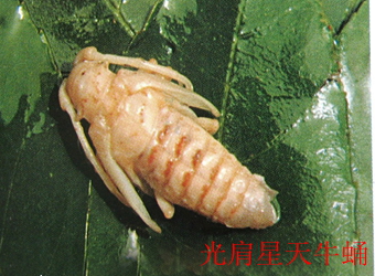 澳门新葡京在线
