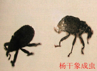 澳门新葡京在线