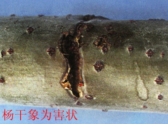澳门新葡京在线