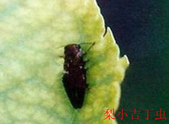 澳门新葡京在线