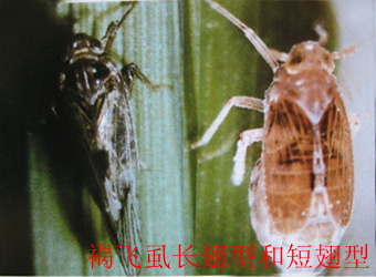 澳门新葡京在线