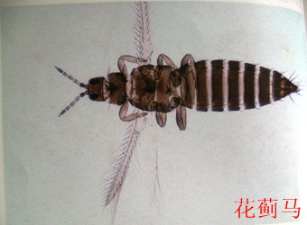 澳门新葡京在线