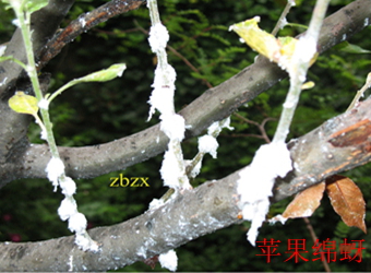 澳门新葡京在线