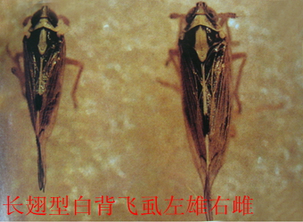 澳门新葡京在线