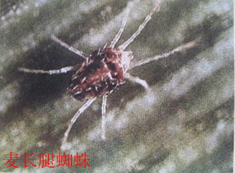 澳门新葡京在线