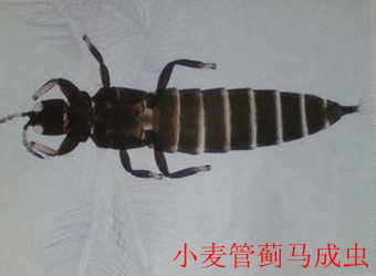 澳门新葡京在线