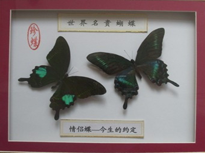 澳门新葡京在线