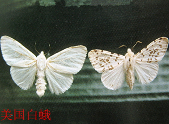 澳门新葡京在线