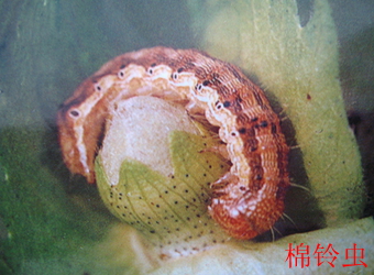 澳门新葡京在线