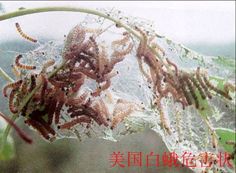 澳门新葡京在线