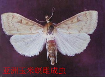澳门新葡京在线