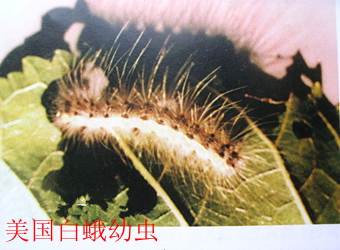 澳门新葡京在线