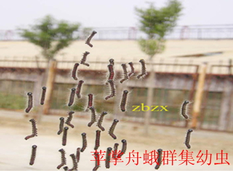 澳门新葡京在线
