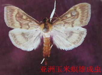 澳门新葡京在线