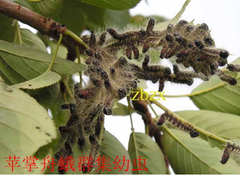 澳门新葡京在线