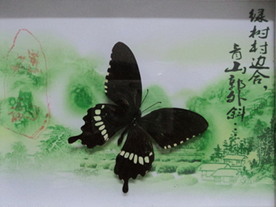 澳门新葡京在线