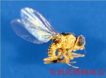 澳门新葡京在线