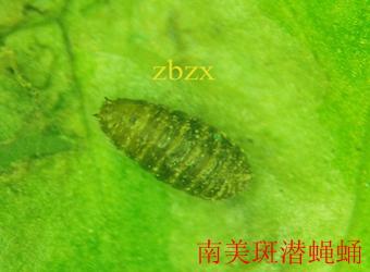 澳门新葡京在线