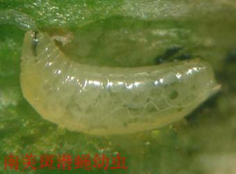 澳门新葡京在线