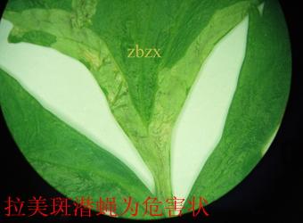 澳门新葡京在线