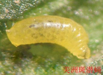 澳门新葡京在线