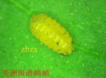 澳门新葡京在线