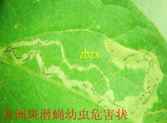 澳门新葡京在线