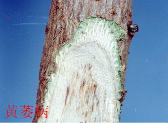 澳门新葡京在线