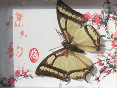 澳门新葡京在线