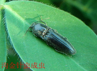 澳门新葡京在线