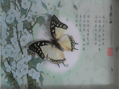 澳门新葡京在线