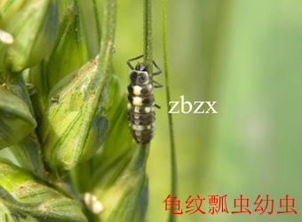 澳门新葡京在线