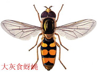 澳门新葡京在线