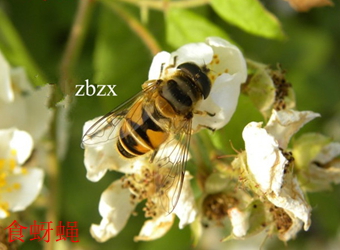 澳门新葡京在线