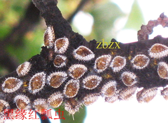 澳门新葡京在线