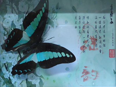 澳门新葡京在线