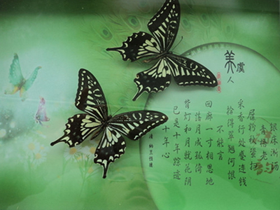 澳门新葡京在线