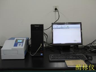 澳门新葡京在线