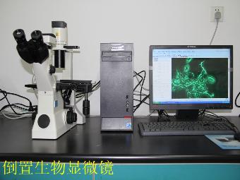 澳门新葡京在线