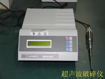 澳门新葡京在线