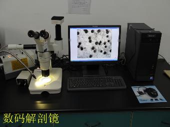 澳门新葡京在线