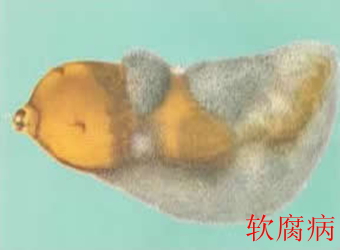 澳门新葡京在线