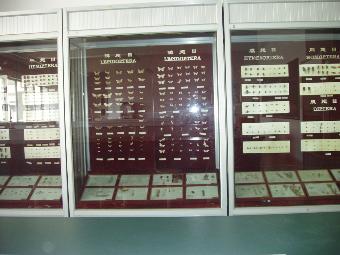 澳门新葡京在线