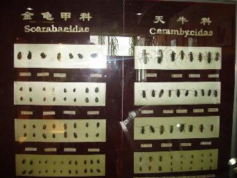 澳门新葡京在线