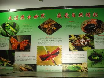 澳门新葡京在线