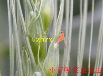 澳门新葡京在线