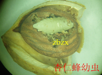 澳门新葡京在线