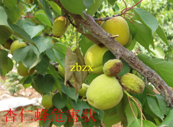 澳门新葡京在线